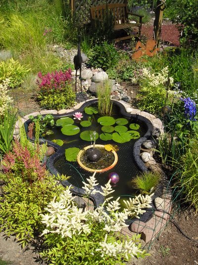 Water Garden